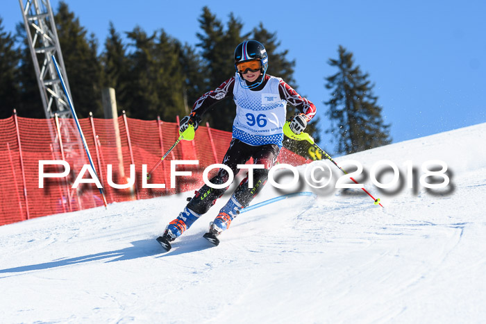 SVM U14/U16 Slalom 14.01.2018