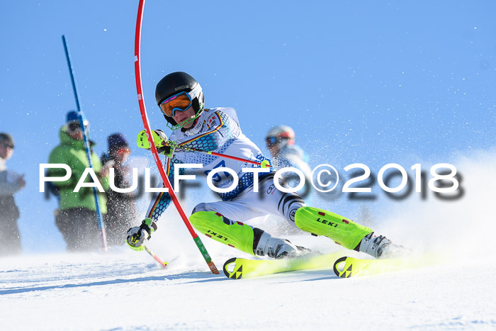 SVM U14/U16 Slalom 14.01.2018