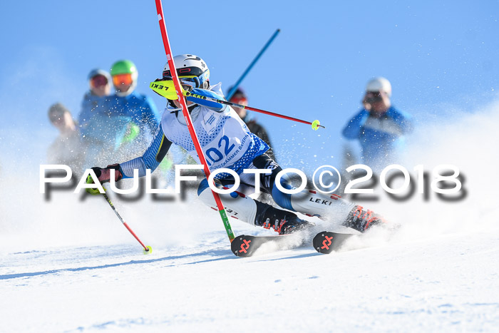 SVM U14/U16 Slalom 14.01.2018