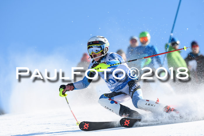SVM U14/U16 Slalom 14.01.2018