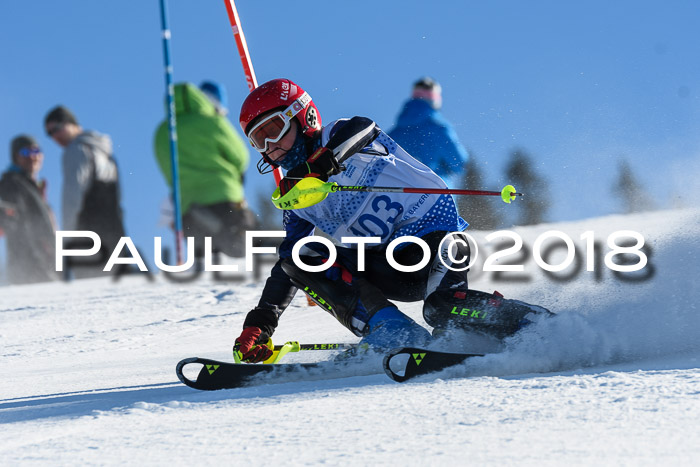 SVM U14/U16 Slalom 14.01.2018