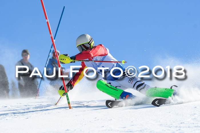 SVM U14/U16 Slalom 14.01.2018