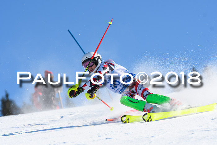 SVM U14/U16 Slalom 14.01.2018