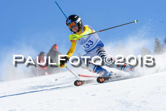 SVM U14/U16 Slalom 14.01.2018