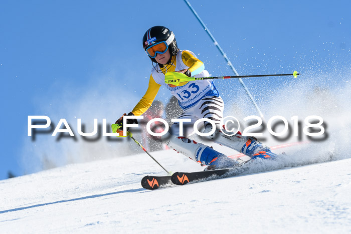 SVM U14/U16 Slalom 14.01.2018