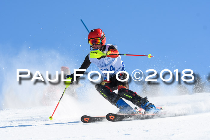SVM U14/U16 Slalom 14.01.2018