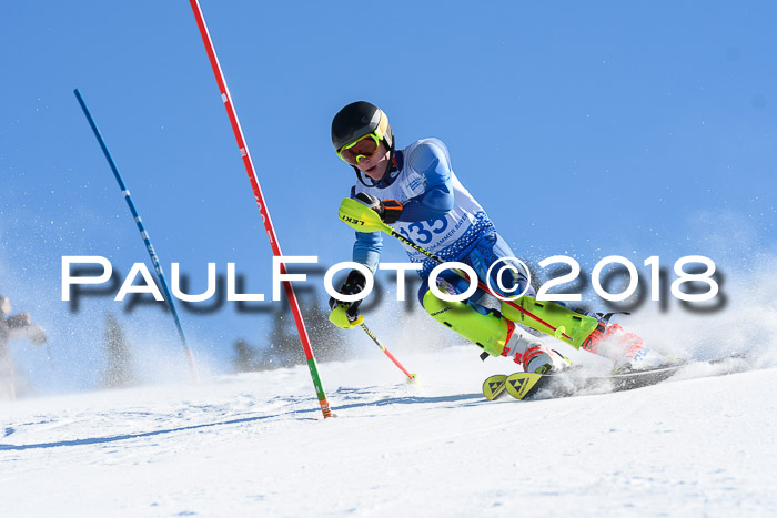 SVM U14/U16 Slalom 14.01.2018