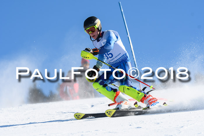 SVM U14/U16 Slalom 14.01.2018