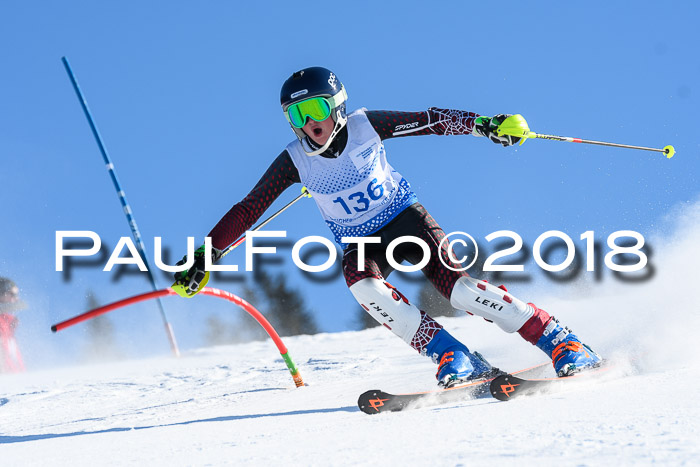 SVM U14/U16 Slalom 14.01.2018