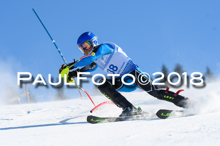 SVM U14/U16 Slalom 14.01.2018