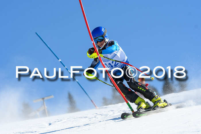 SVM U14/U16 Slalom 14.01.2018