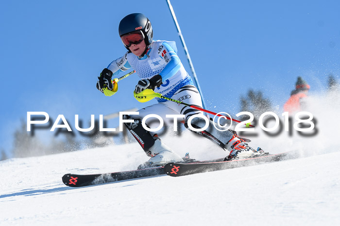 SVM U14/U16 Slalom 14.01.2018