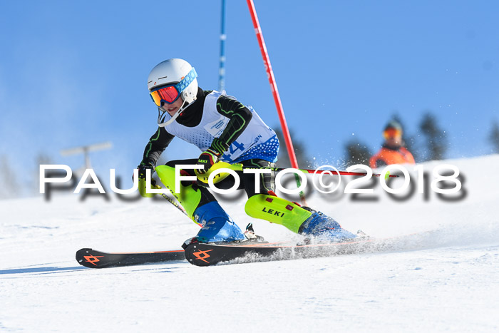 SVM U14/U16 Slalom 14.01.2018
