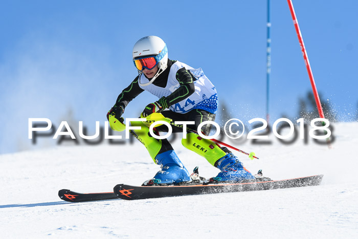 SVM U14/U16 Slalom 14.01.2018