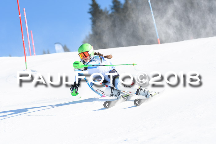 SVM U14/U16 Slalom 14.01.2018
