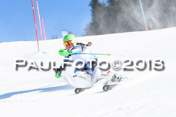 SVM U14/U16 Slalom 14.01.2018