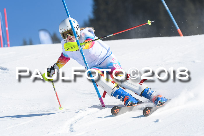 SVM U14/U16 Slalom 14.01.2018