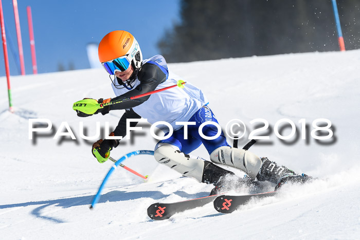 SVM U14/U16 Slalom 14.01.2018