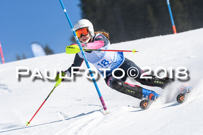 SVM U14/U16 Slalom 14.01.2018