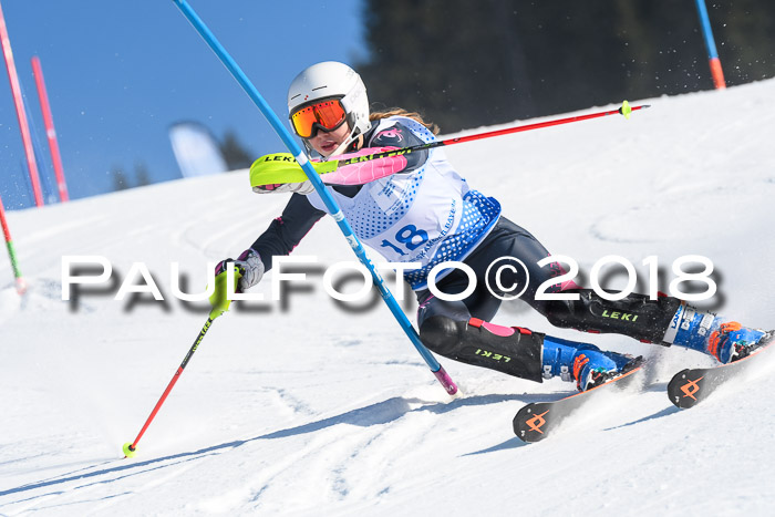 SVM U14/U16 Slalom 14.01.2018