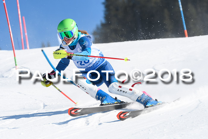 SVM U14/U16 Slalom 14.01.2018