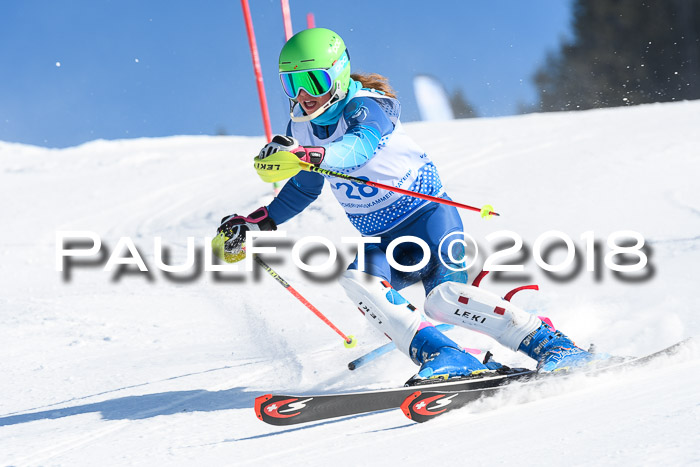 SVM U14/U16 Slalom 14.01.2018