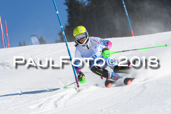 SVM U14/U16 Slalom 14.01.2018