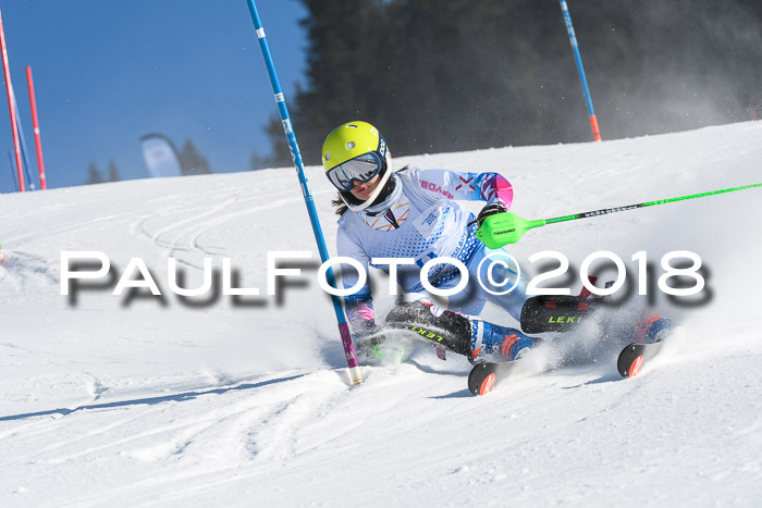 SVM U14/U16 Slalom 14.01.2018