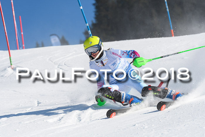 SVM U14/U16 Slalom 14.01.2018