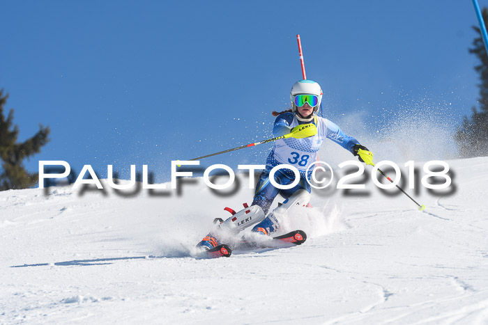 SVM U14/U16 Slalom 14.01.2018