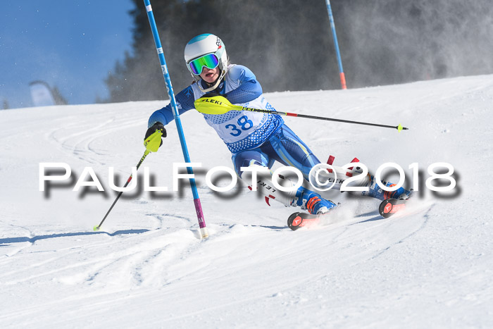 SVM U14/U16 Slalom 14.01.2018