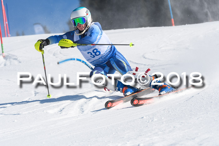 SVM U14/U16 Slalom 14.01.2018