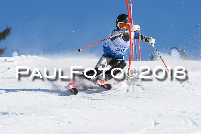 SVM U14/U16 Slalom 14.01.2018