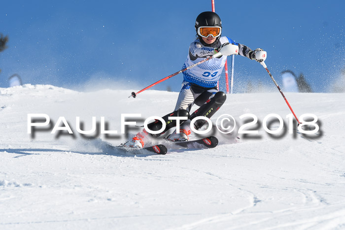 SVM U14/U16 Slalom 14.01.2018