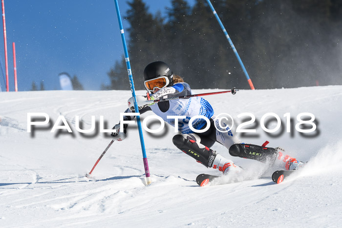 SVM U14/U16 Slalom 14.01.2018