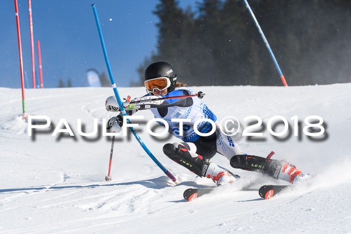 SVM U14/U16 Slalom 14.01.2018