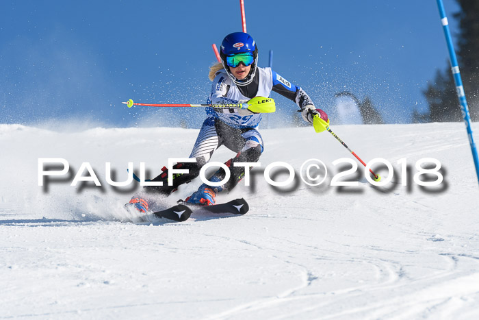 SVM U14/U16 Slalom 14.01.2018