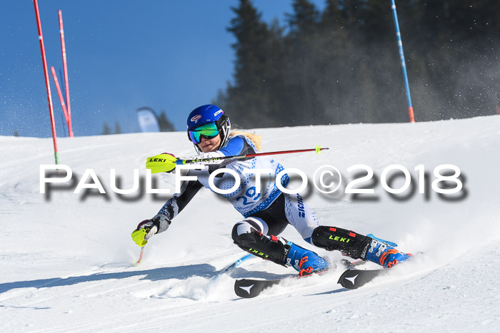 SVM U14/U16 Slalom 14.01.2018