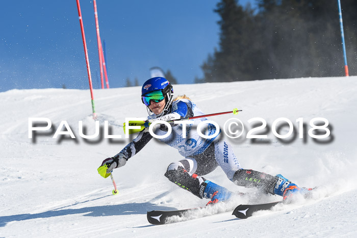 SVM U14/U16 Slalom 14.01.2018