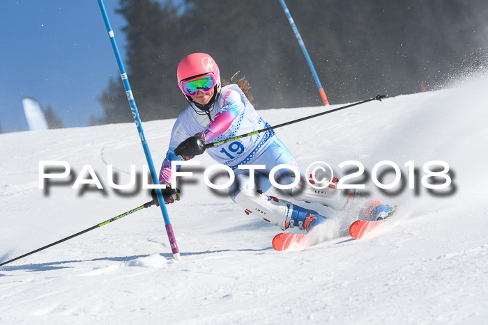 SVM U14/U16 Slalom 14.01.2018