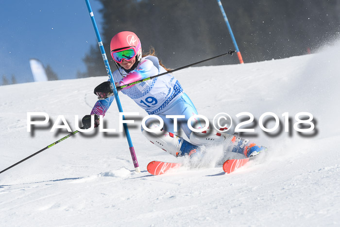 SVM U14/U16 Slalom 14.01.2018