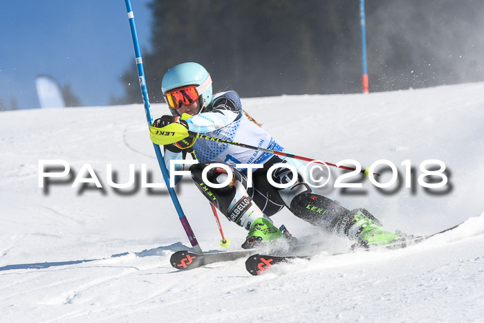 SVM U14/U16 Slalom 14.01.2018