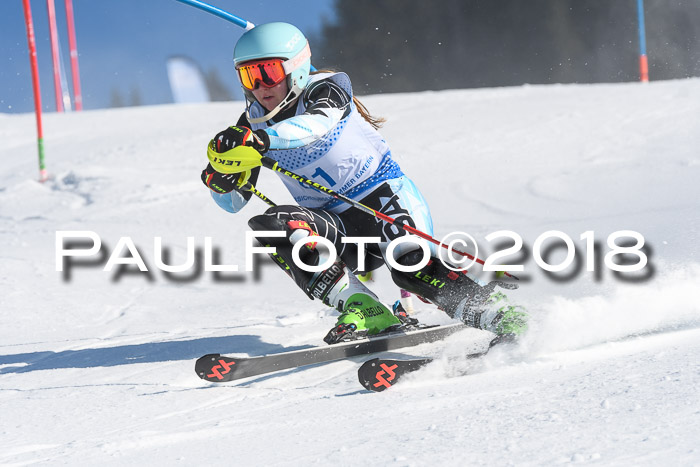 SVM U14/U16 Slalom 14.01.2018