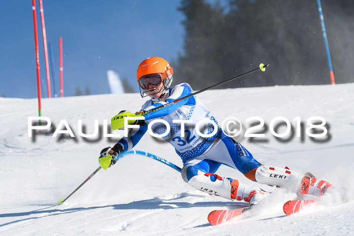 SVM U14/U16 Slalom 14.01.2018