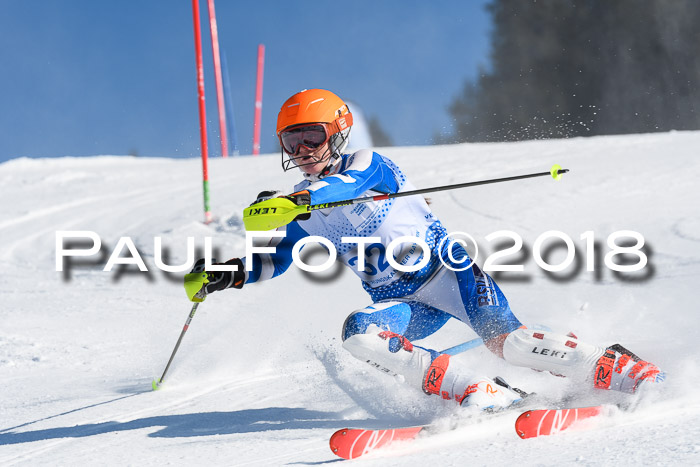 SVM U14/U16 Slalom 14.01.2018