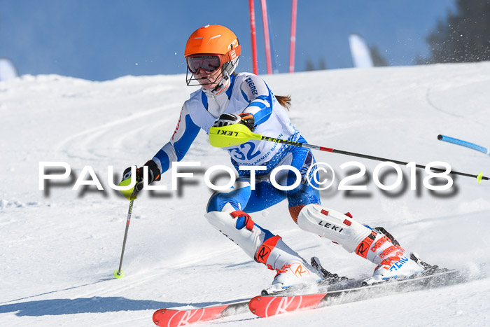 SVM U14/U16 Slalom 14.01.2018