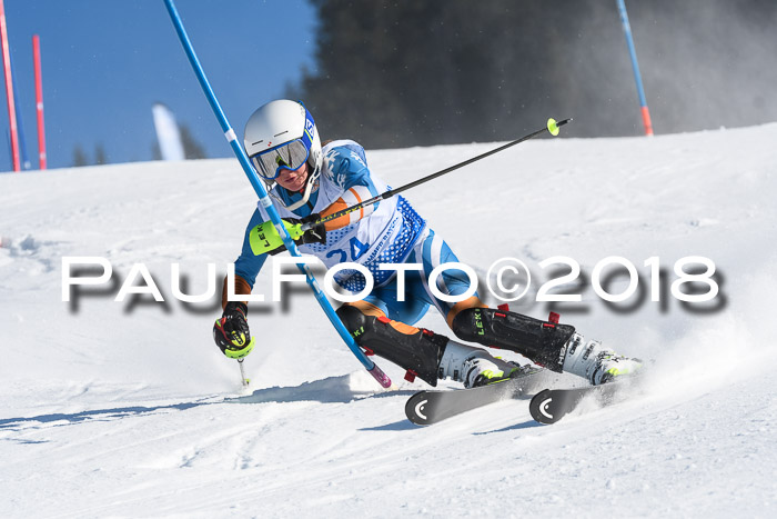 SVM U14/U16 Slalom 14.01.2018