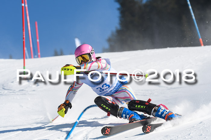 SVM U14/U16 Slalom 14.01.2018