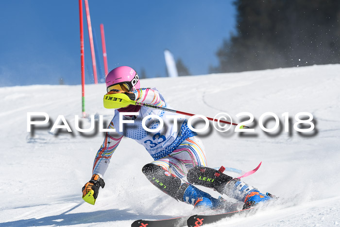 SVM U14/U16 Slalom 14.01.2018