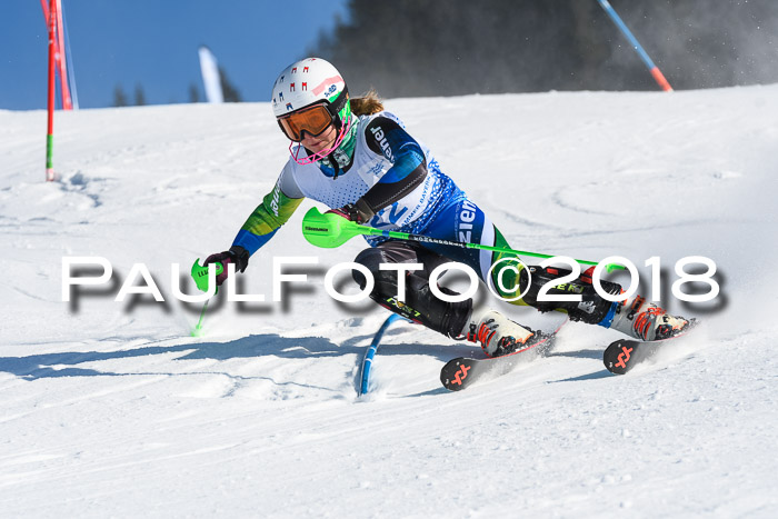 SVM U14/U16 Slalom 14.01.2018
